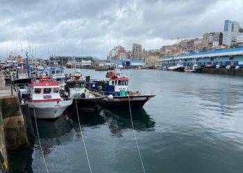 Acerga lleva el arte del cerco a colegios de toda Galicia para mostrar su «xeito» de vida