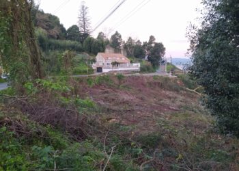 Teis demanda unha plantación de arbores autóctonas nos terreos tallados no monte da Guía
