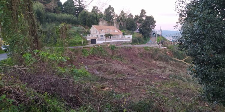 Teis demanda unha plantación de arbores autóctonas nos terreos tallados no monte da Guía