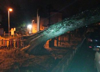 Vientos de 113 kilómetros por hora llenan de incidencias Vigo y su área metropolitana