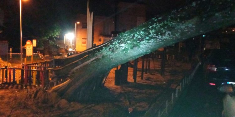 Vientos de 113 kilómetros por hora llenan de incidencias Vigo y su área metropolitana