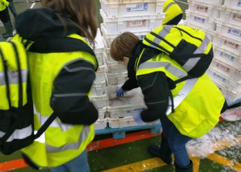 El ‘Brexit’ obliga a controlar nueve pesqueros con bandera británica que descargan en O Berbés