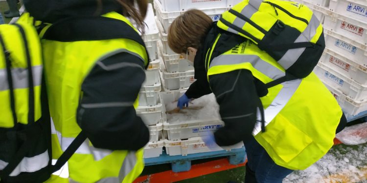 El ‘Brexit’ obliga a controlar nueve pesqueros con bandera británica que descargan en O Berbés