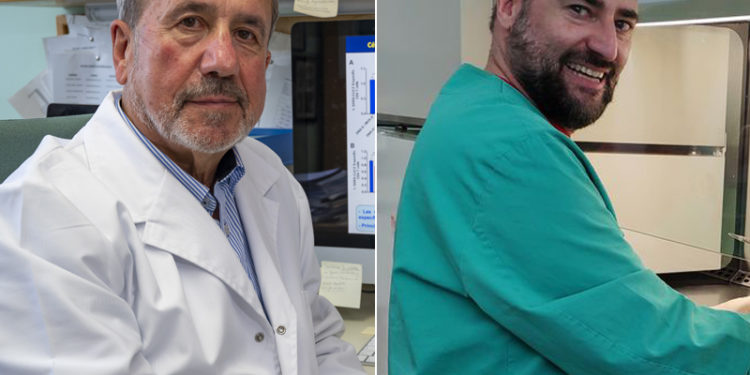 Una vacuna del CSIC que se producirá en O Porriño muestra una eficacia del 100% en ratones inmunizados contra la Covid-19