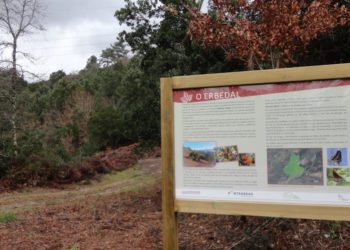 Ponteareas recupera o erbedal do parque forestal da Picaraña
