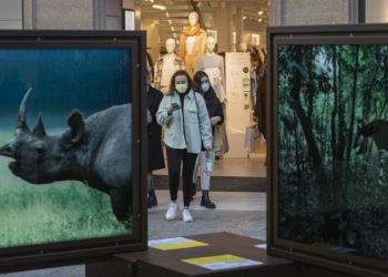 El área sanitaria de Vigo baja del millar de casos activos y acelera la recuperación en las UCI