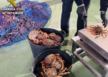 La Guardia Civil intercepta en Nigrán un vehículo con 52 kilos de marisco ilegal procedente de Baiona