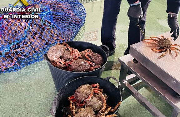La Guardia Civil intercepta en Nigrán un vehículo con 52 kilos de marisco ilegal procedente de Baiona