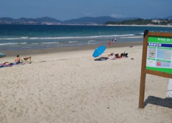 El TSXG valida la elección de A Calzoa y Foz como playas para perros en Vigo