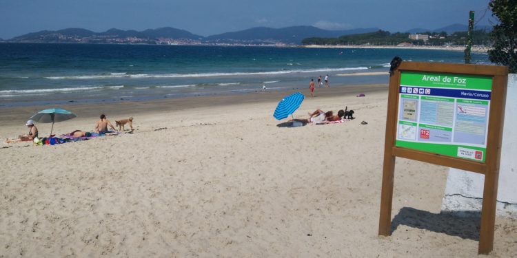 El TSXG valida la elección de A Calzoa y Foz como playas para perros en Vigo