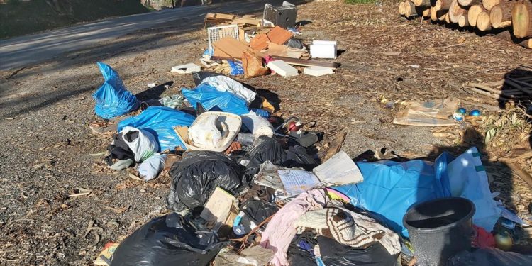 La Policía Local localiza a una empresa de reformas de Vigo que tiraba escombros en el monte