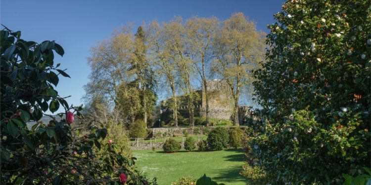 Unha visita guiada polo máxico xardín da camelia en Soutomaior para celebrar o desconfinamento