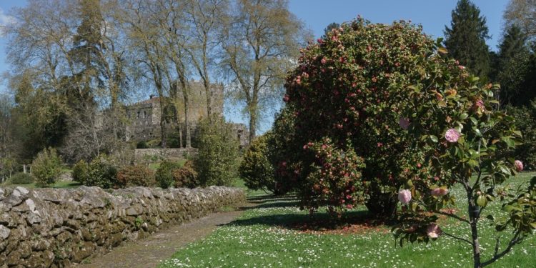 Unha visita guiada polo máxico xardín da camelia en Soutomaior para celebrar o desconfinamento