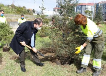 Vigo crea su «Bosque de Nadal»