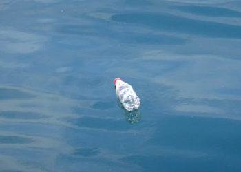 Democracia, libertad de expresión y violencia callejera