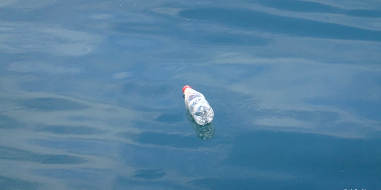 Democracia, libertad de expresión y violencia callejera