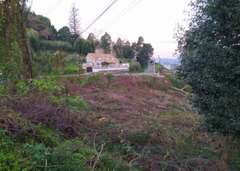 Teis reclama unha plantación de árbores autóctonas no monte de A Guía