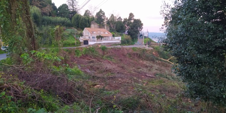 Teis reclama unha plantación de árbores autóctonas no monte de A Guía