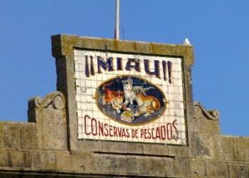 La fábrica de MIAU y el Fortuna club de fútbol