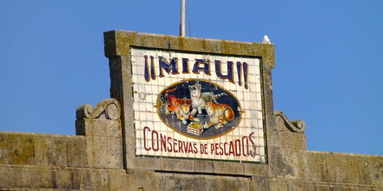 La fábrica de MIAU y el Fortuna club de fútbol