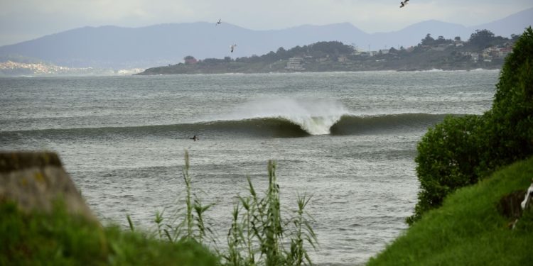 Buenas olas para el regreso de la competición a Patos