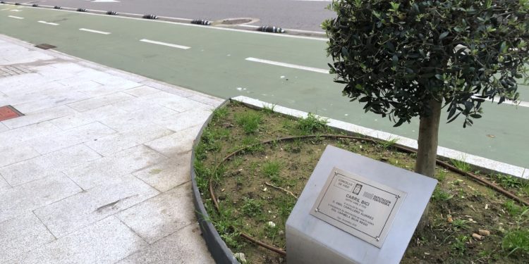 Vigo y el carril bici
