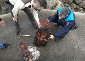 Pillan a un furtivo con más de 17 kilos de centolla y pulpo en una playa de Vigo