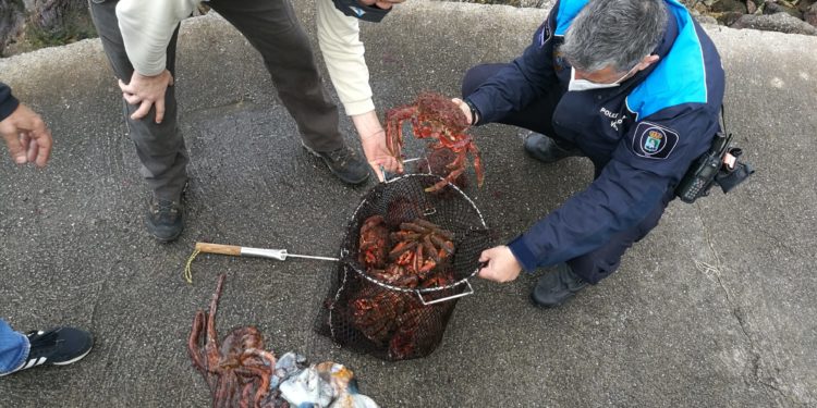 Pillan a un furtivo con más de 17 kilos de centolla y pulpo en una playa de Vigo