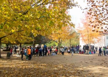 Galardón de Vigués Distinguido para os colexios Martín Códax, Fonte Escura e Cristo da Victoria