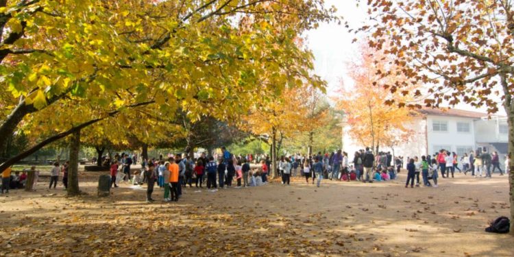 Galardón de Vigués Distinguido para os colexios Martín Códax, Fonte Escura e Cristo da Victoria