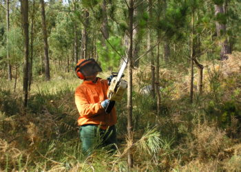 Galicia prohíbe las quemas agrícolas y forestales de particulares por riesgo de incendio