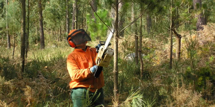Galicia prohíbe las quemas agrícolas y forestales de particulares por riesgo de incendio