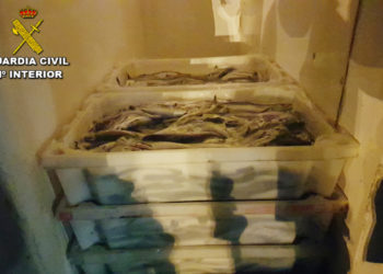 Guardia Civil y Gardacostas intervienen en Bueu 121 kg de merluza de pequeño tamaño