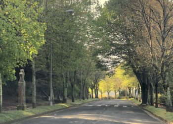 A Guía en el olvido