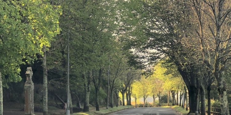 A Guía en el olvido