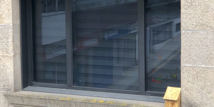 El rincón de los pájaros