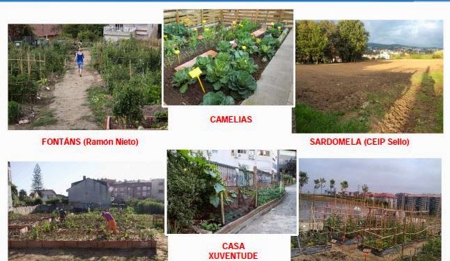 Vigo retoma as hortas urbanas con redución de aforo e reserva previa