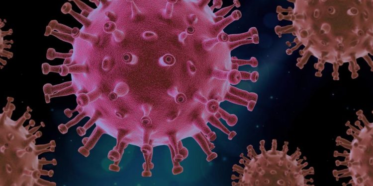 Investigadores de Vigo logran secuenciar el virus SARS-CoV-2 en aguas residuales