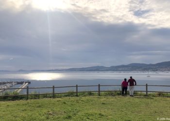 Soñando con el verano