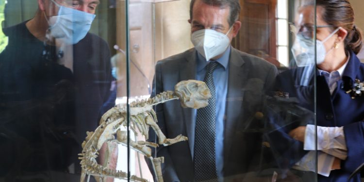 Vigo recibe 300 joyas prehistóricas incautadas por el Seprona en Vigo