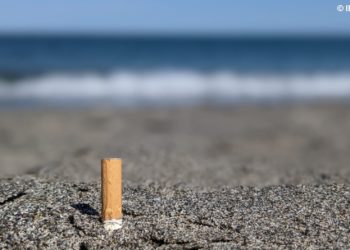Las colillas arrojadas en las playas pueden suponer una fuente significativa de metales pesados en el océano
