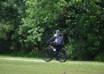 Los mejores productos y servicios que están en auge