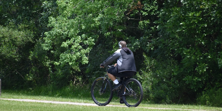 Los mejores productos y servicios que están en auge