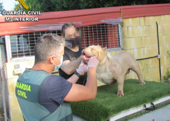 La Guardia Civil recupera en Vigo dos perros robados en Sanxenxo