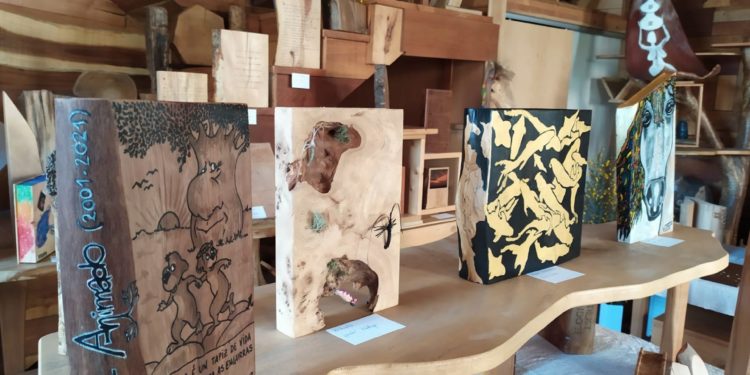 Biblioteca de las maderas del mundo en Cangas