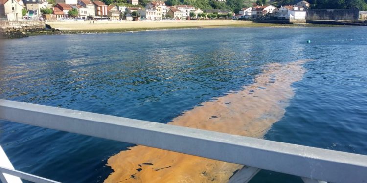 Investigan un nuevo vertido a la ría de Vigo en Arealonga