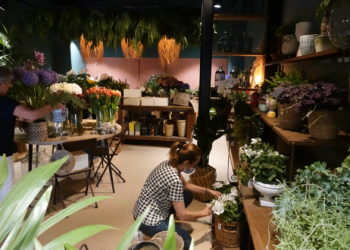 Flores salvajes para regalos imperfectos