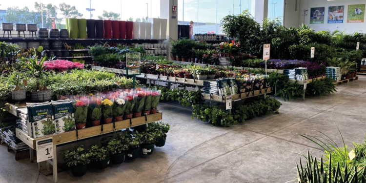 Verdecora Vialia Vigo