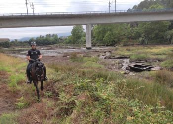 Caballería de Policía se une a las batidas en busca de la desaparecida en Arcade