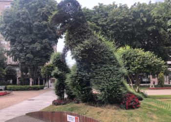 El Dinoseto en el olvido